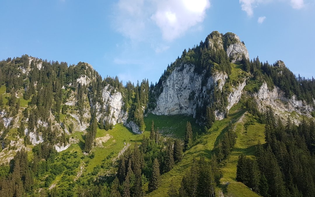 Charmey – La Berra – Vounetse – Charmey (32.35 km – 1444 D+)