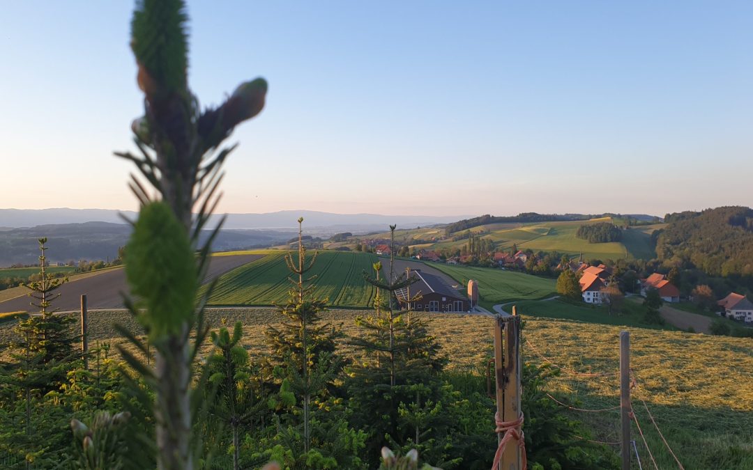 Romont – Parcours B (20.17 km – 434 D+)