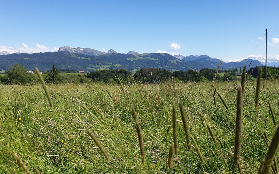 Romont – Parcours C (40.39 km – 907 D+)