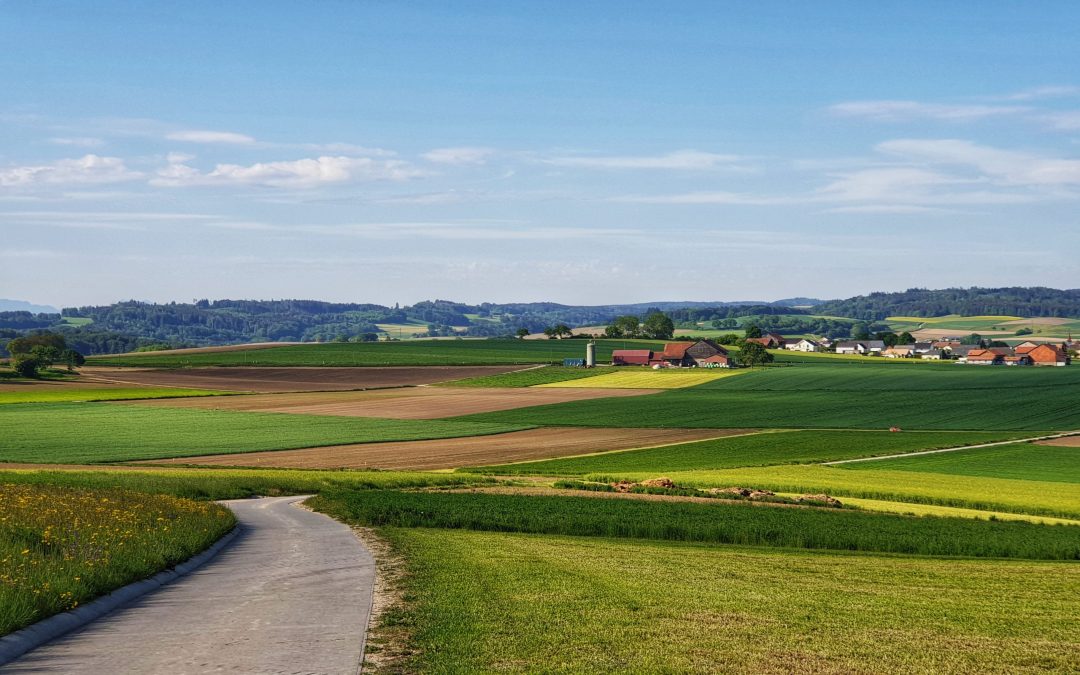De Payerne à Combremont-le-petit et retour (39.29 km – 707 D+)