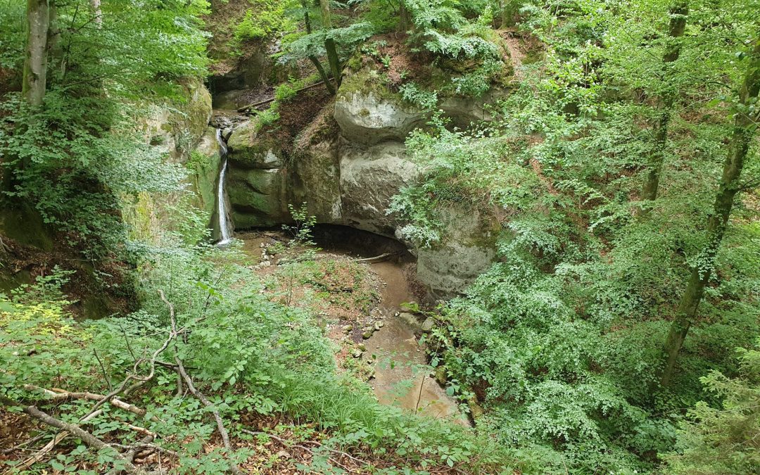 Parcours des Arbognes (26.18 km – 563 D+)