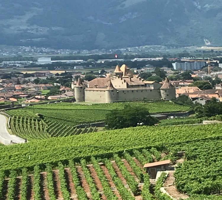 Variante sur le sentier du sel (35.77 km – 730 D+)