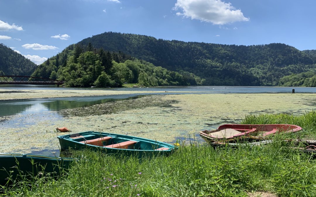 eEnduro des Franches-Montagnes (57.96 km – 2220 D+)