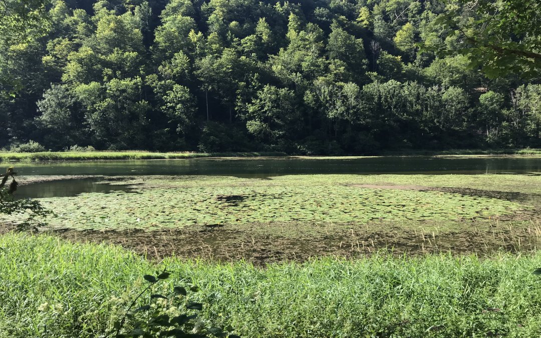 Les Bois – La Goule – Les Bois (27.88 km – 881 D+)
