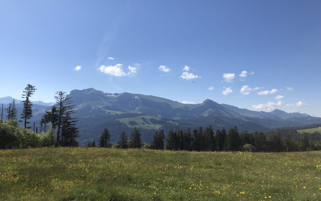 Par le Niremont et Moléson (40.22 km – 1406 D+)