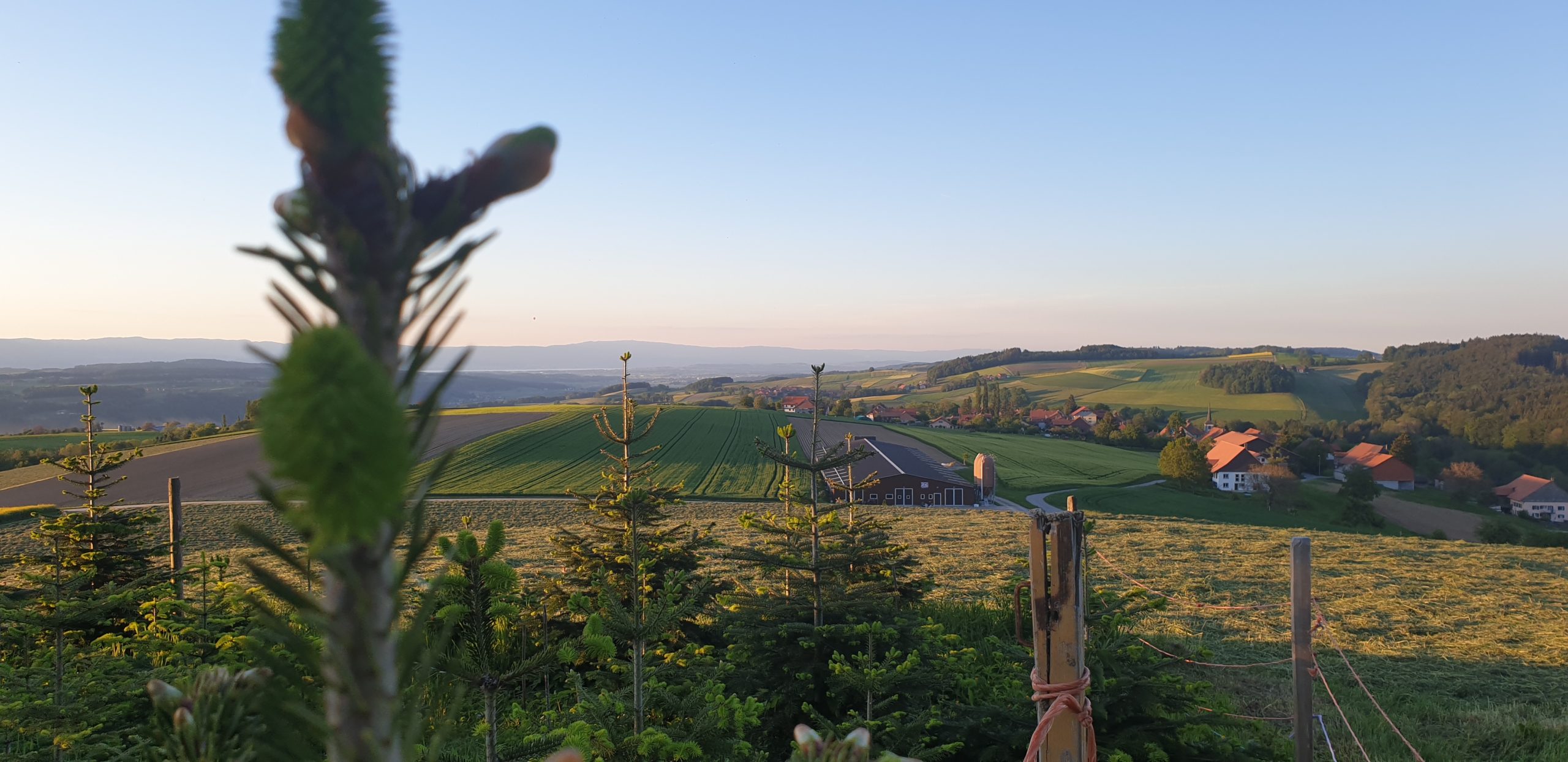 Romont – Parcours B (20.17 km – 434 D+)