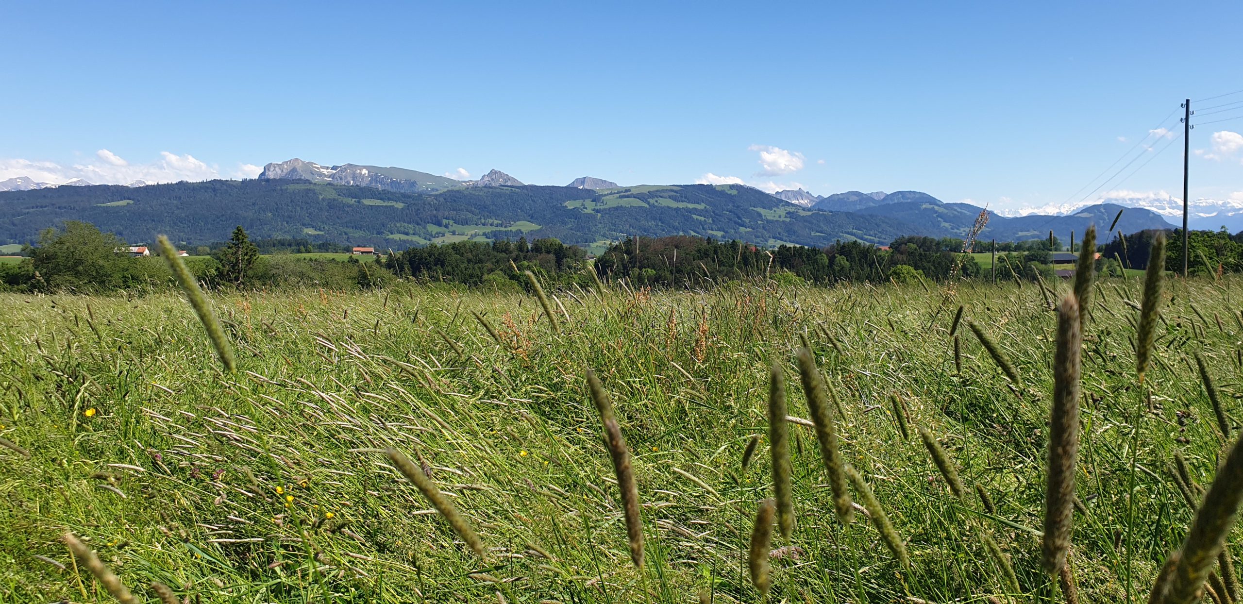 Romont – Parcours C (40.39 km – 907 D+)