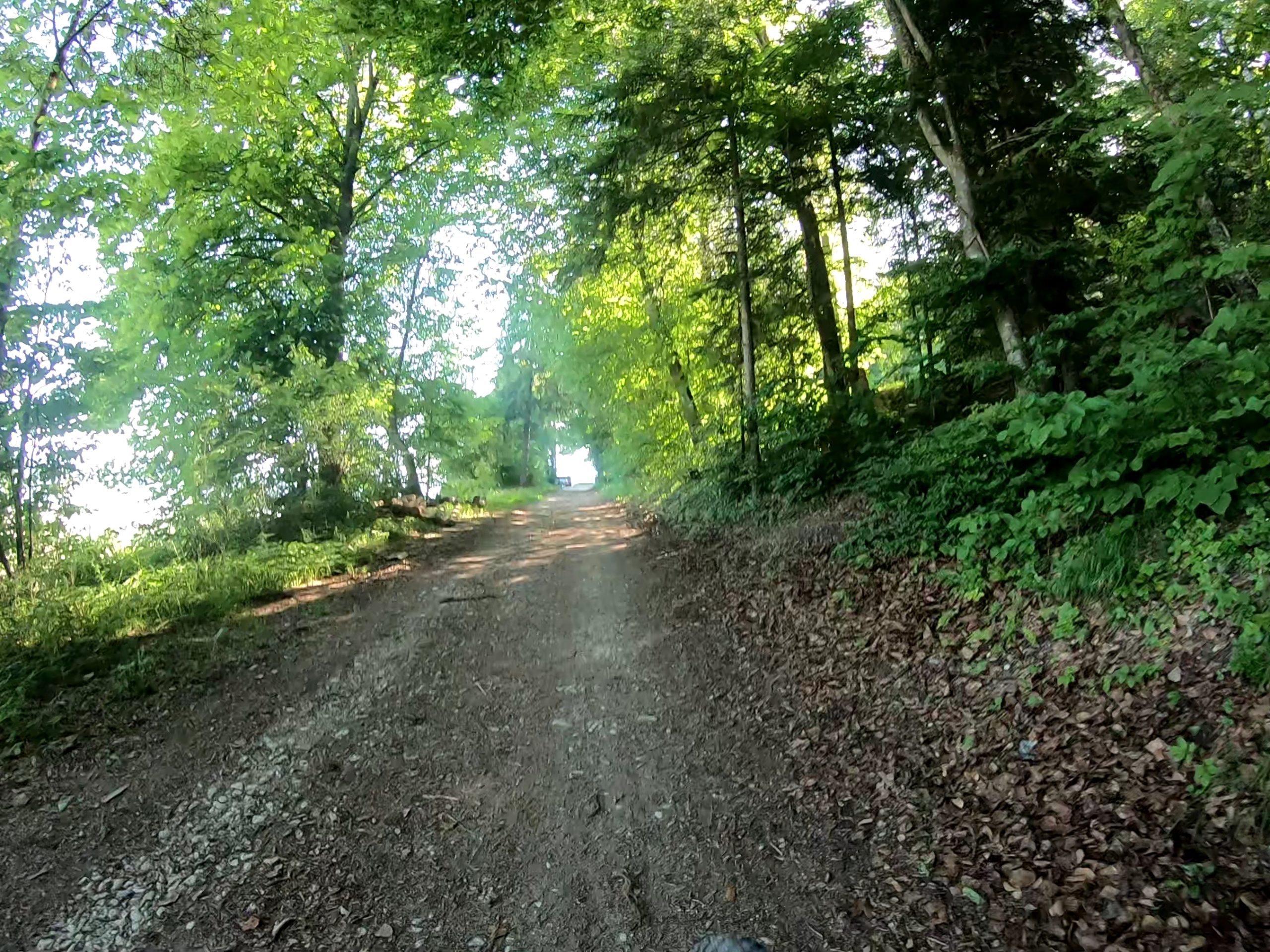 Tour du Val de Ruz par la Vue-Des-Alpes (39.40 km – 933 D+)
