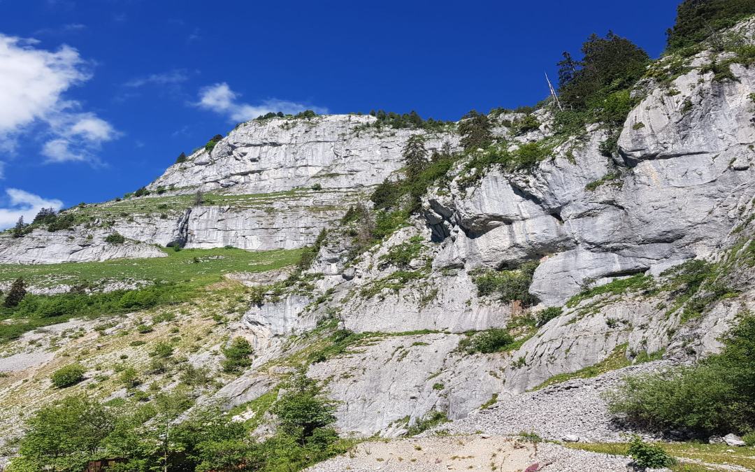 Les Mosses – Leysin (34.66 km – 1345 D+)