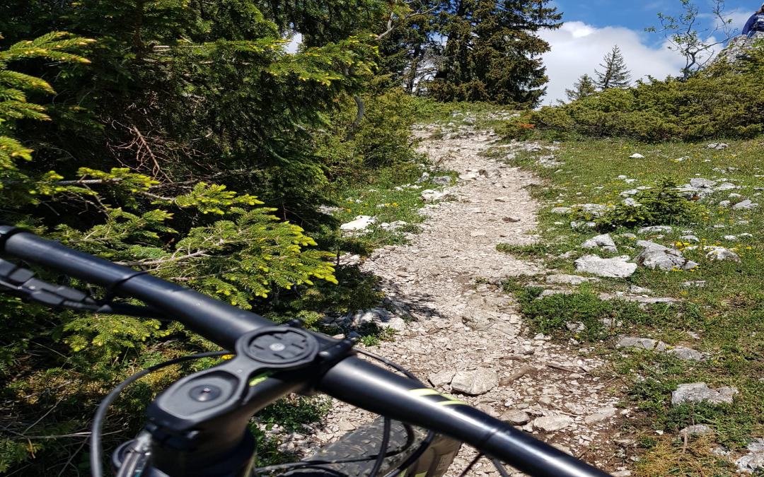 Sur les hauts de Concise (34.35 km – 1088 D+)