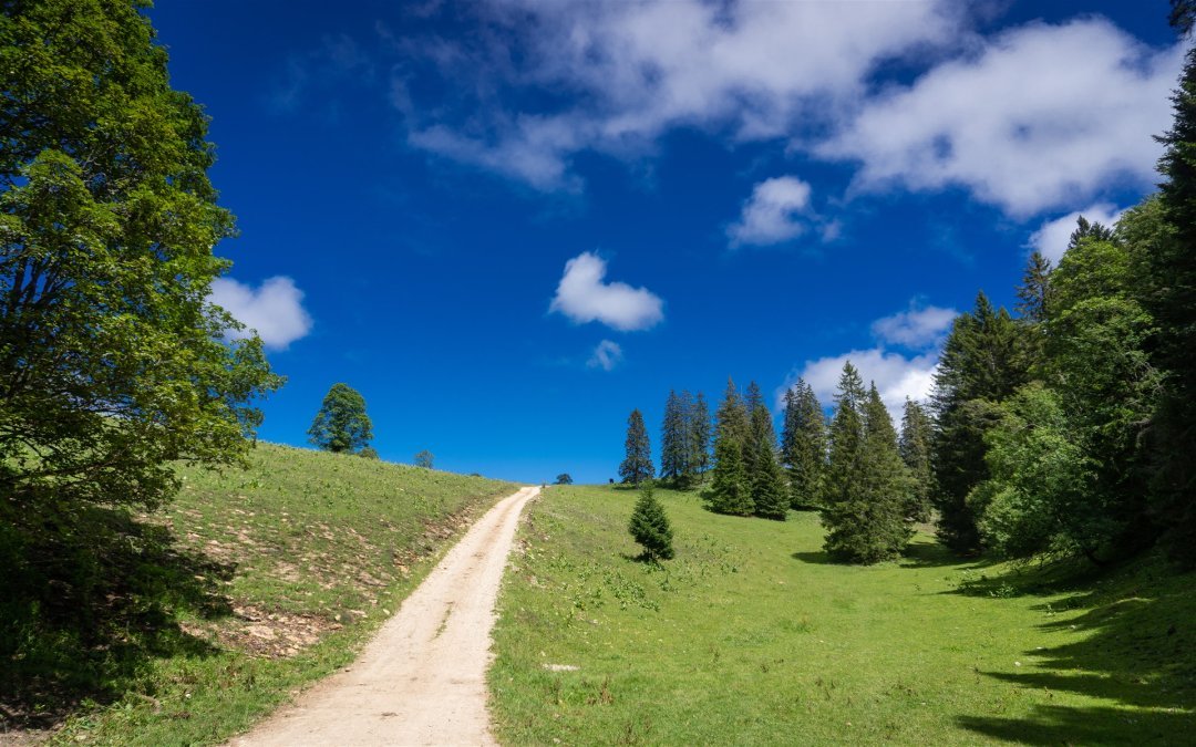 Nods – Chasseral – Nods en passant par les Prés d’Orvin (40.80 km – 1086 D+)