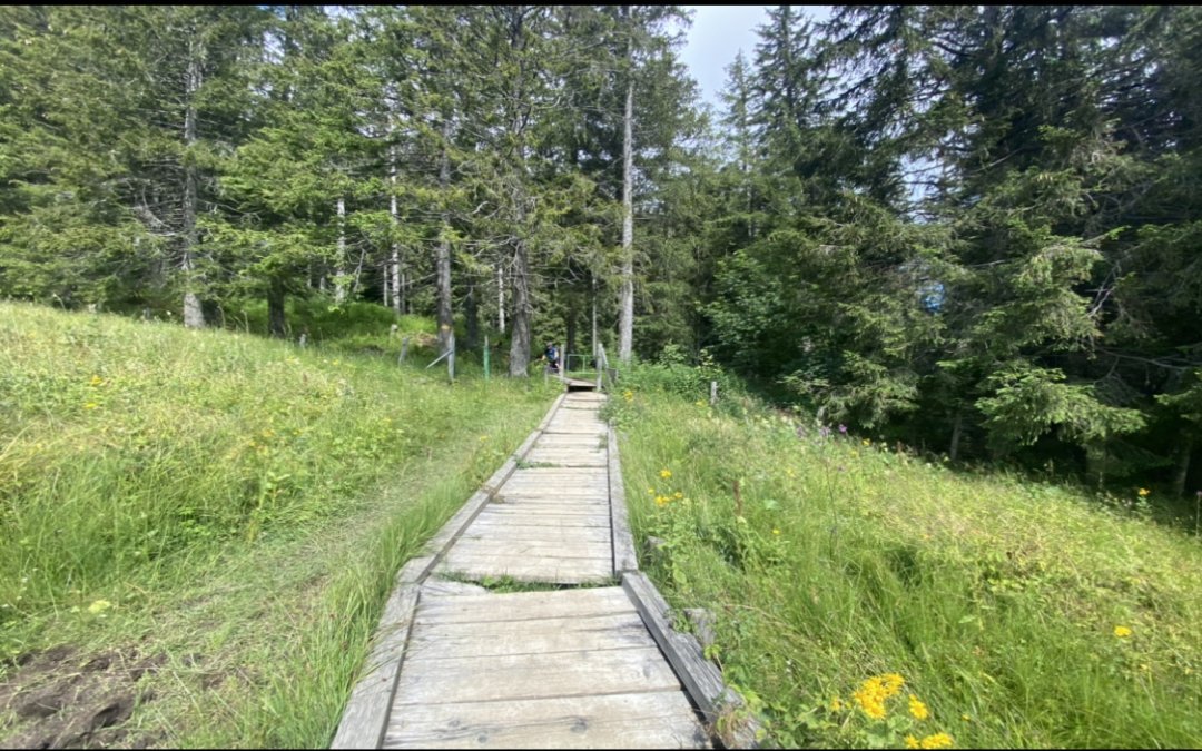 Attalens – Les Paccots (41.24 km – 1197 D+)