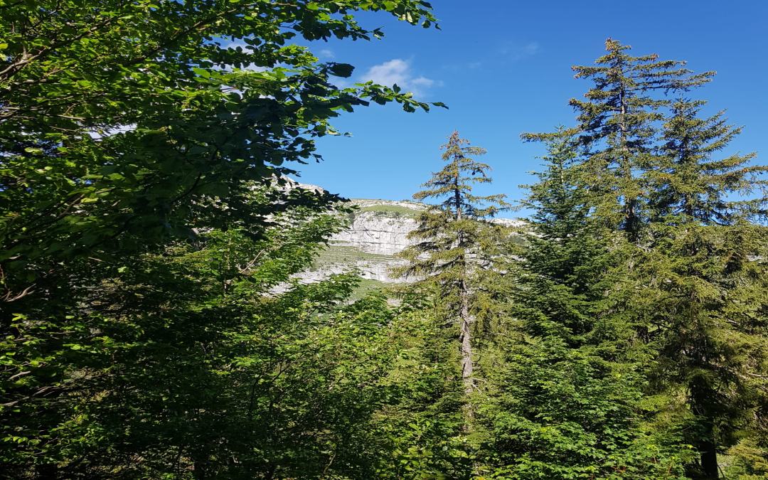 St-Cierges direction Froideville (38.34 km – 848 D+)