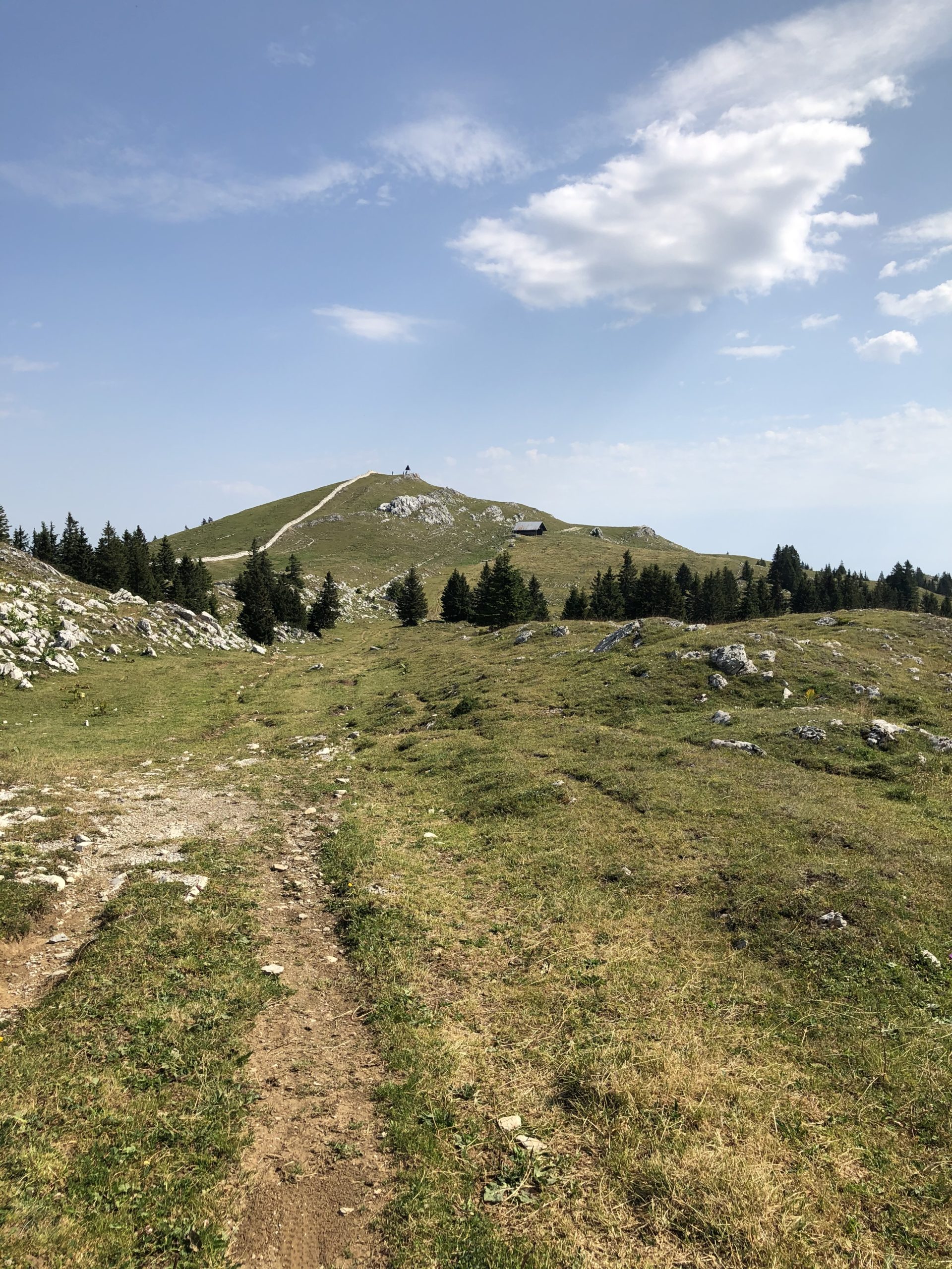Mont-Tendre depuis Bassins (59.48 km – 1595 D+)