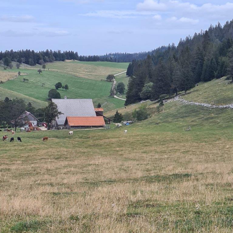 Tête de Ran (39.91 km – 1196 D+)