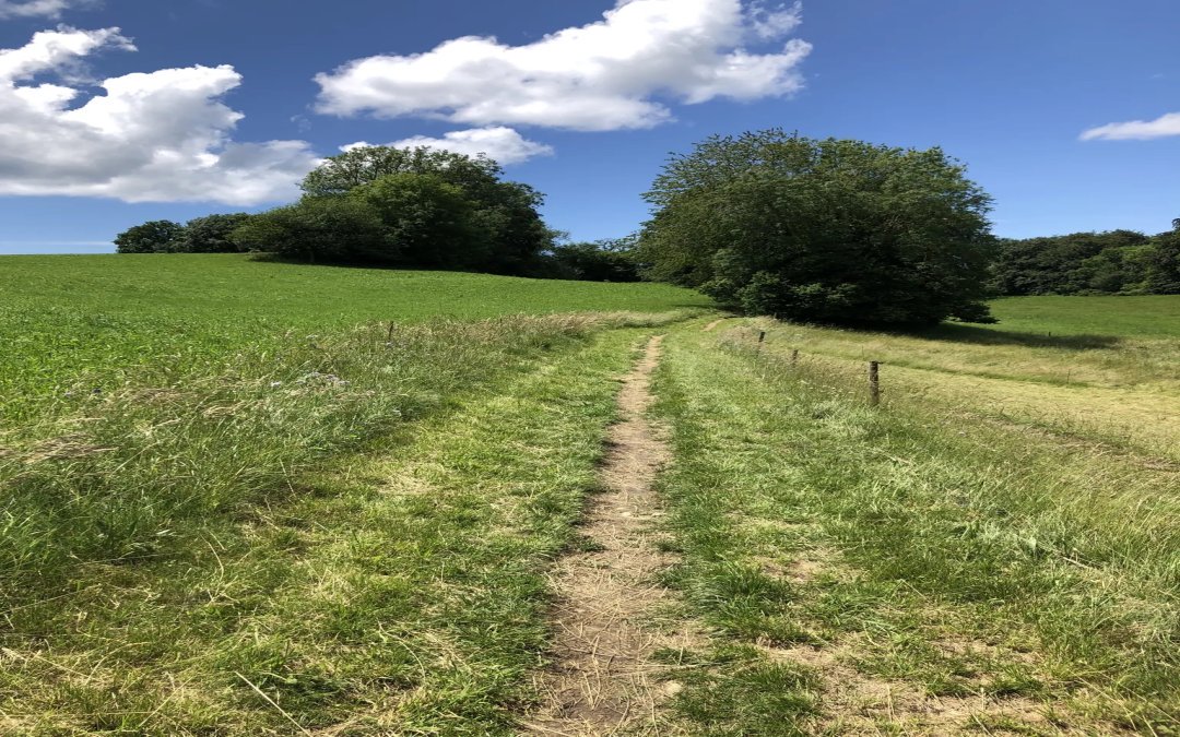 Jongny – Mont Vuarat – Remaufens et retour (23.49 km – 731 D+)