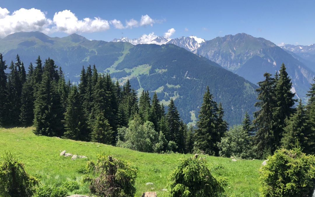 Verbier – La Tzoumaz – Col de Lin – Le Châble (40.17 km – 1982 D+)