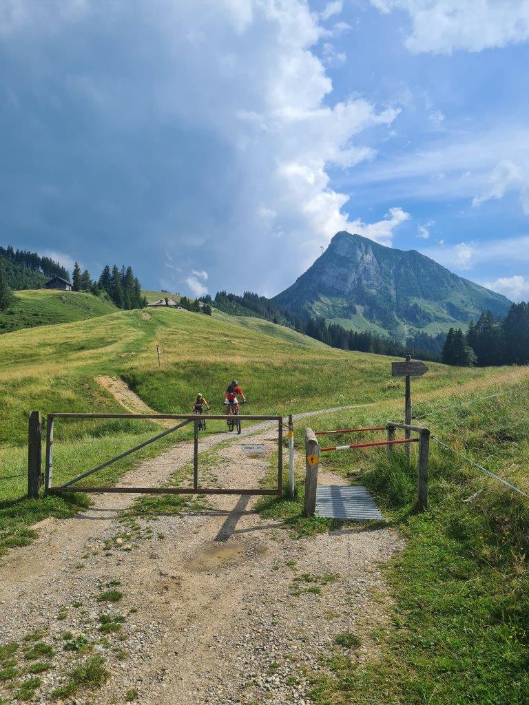 Tour du Moléson (30.44 km – 1’562 D+)