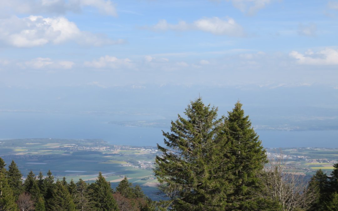 Barillette E-VTT 2022 (37.94 km – 1’477 D+)