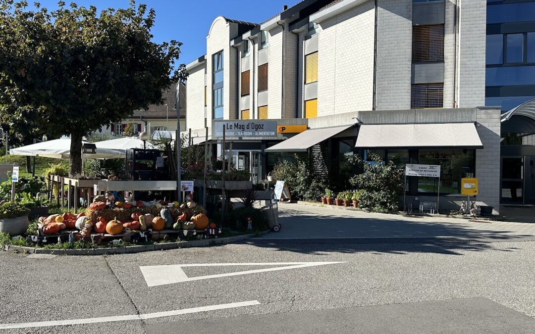 Mag d&rsquo;Ogoz Sàrl